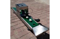 China Convenient Transportation Egg Batch Number Printing Machine For Green Food Logo supplier