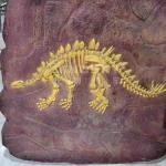 Handmade Museum Dinosaur Replicas , Dino Skull Replica Youth Age for sale