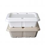 Factory 100% Biodegradable Compostable Bagasse Pulp Packaging Food Container for sale