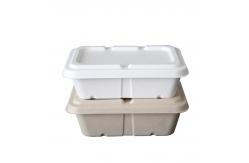 China Factory 100% Biodegradable Compostable Bagasse Pulp Packaging Food Container supplier