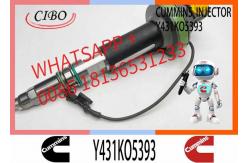 China Fuel Injector Assembly 2867147 2882077 4955524 Y431KO5393 2882078For Qsk19 Engine supplier