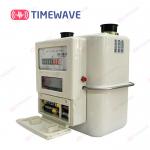 Wireless LoRaWAN Smart Gas Meter System Steel Shell For Energy Management