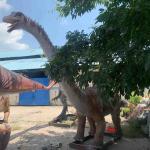 Lifelike Animatronic Dinosaur Amusement Park Diplodocus Model for sale
