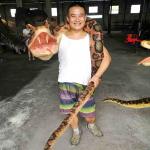 Manual Control Custom Snake Hand Puppet Waterproof / Weatherproof