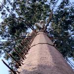 20 meter Self Supporting Antenna Broadcast Towers for sale