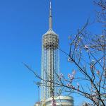 Antenna Steel Cdma Mobile Telecom Tower With Revolving Restaurant Platform for sale