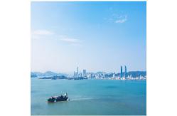 China International Sea Freight Forwarding DDP From China To Indonesia supplier