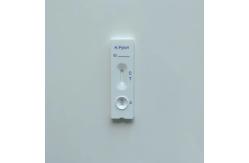 China Medical Diagnostic Helicobacter H Pylori Antigen Stool Test Strip Cassettes supplier