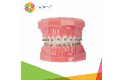 China Dental Self Ligating Brackets Damon System With Auxiliary Slot supplier