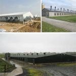 SGS Livestock Farm House Prefabricated Automated Steel Frame Chicken Coop for sale