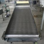                  Customized Size Stainless Steel Wire Mesh Belt Conveyor Washing Vegetables              for sale