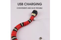 China Rubber Interactive Red Cat Pet Teething Chew Funny Toys For Puppies supplier