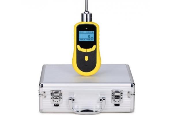 Portable Gas Detector for CH4