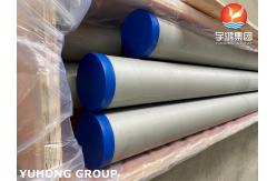 China Stainless Steel Seamless Pipe ASTM A312 UNS S31254 Heat Exchanger Food Processing supplier