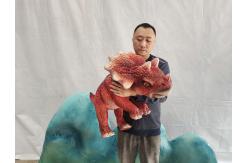 China Hand Control Baby Animatronic Dinosaur Triceratops Puppet for Sale supplier