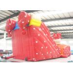 Big clown cartoon inflatable slide - inflatable long slide with arch