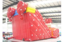 China Big clown cartoon inflatable slide - inflatable long slide with arch supplier