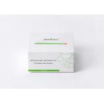 CE Plasma Serum Ag Rapid Test Kit Ncov Ag Qualitative Detection for sale
