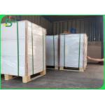 350gsm Take Out Food Container Paper Board FDA 15gr PE Sheet / Roll for sale