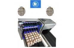 China Date / Number Egg Batch Coding Machine With 0 - 5mm Printing Distance supplier