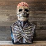 Realistic Creepy Skull Skeleton Latex Mask Full Head Cosplay for sale