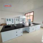 Chemistry Lab Workstation: Ergonomic, Flexible & Customizable