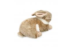 China Tight Stitching Baby'S Cute Rabbit Plush Toy OEM supplier