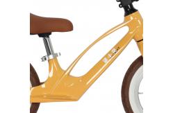 China Magnesium Alloy 12 Inch 2 Wheel Kids Balance Bike Training Bike No Pedals supplier