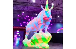 China Projection Mapping 3d Interactive Structure Projection Interact Projector supplier