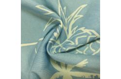 China Pineapple Printed Patterned Jersey Fabric Printed Knitting 215CM Width supplier