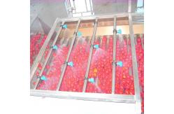 China NFC Processing Fruit Juice Production Line 72 Brix supplier