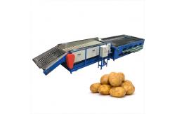 China 6.5kw Apple Dates Lemon Mango Fruit Grading Machine supplier