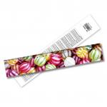 China Factory 3D Lenticular Ruler 3D Animal Ruler Lenticular Print