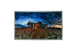 China LCD Display Screen 18.5 inch 1366*768 M185B1-L06 LCD panel supplier