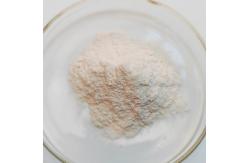 China high amylase starch 200000u/G  Alpha Amylase Protease manufacturer, providing enzyme preparation sample supplier