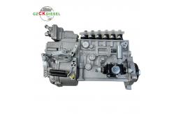 China Fuel Injection Pump BH6P110 5676 BH6P120 P10Z010 P10Z002 For C6121 Engine supplier