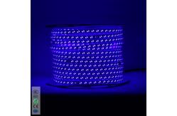 China 220V 5730 white warm white blue purple Flexible strip lighting led Double row 120chips/m LED strip lights/led light stri supplier