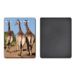 UV Offset Printing Lenticular 3D Fridge Magnets For Gift , Printed Fridge Magnets