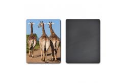 China UV Offset Printing Lenticular 3D Fridge Magnets For Gift , Printed Fridge Magnets supplier