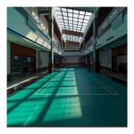 Plastic PVC Badminton Sport Flooring Mat In Roll Manufacture Factory for sale