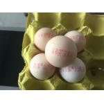 50 / 60 HZ Single Row Egg Continuous Inkjet Printer With Red Edible Ink