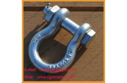 China Hardware Steel Galvanized Shackle supplier