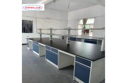 China Versatile Chemistry Lab Workbench with Numerous Hooks and Compartments supplier