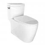 High Efficiency White One Piece Tall Elongated Toilets Bowl MAP800G for sale