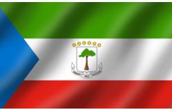China Equatorial Guinea Flag Swiss Hooks Finish Govemment Buildings Schools Hospitals supplier