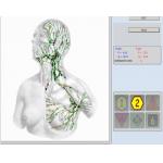 8D Lris NLS Stable and Faster Health Diagnosis Disease Detecting at Home Physiotherapy for sale