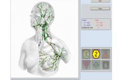 China 8D Lris NLS Stable and Faster Health Diagnosis Disease Detecting at Home Physiotherapy supplier