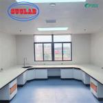 Custom Chemistry Lab Bench With Cabinet DTC Hinges And Phenolic Countertop for sale