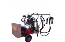 China 220L/Min Portable Milking Machine Two Bucket Electric For Goat supplier