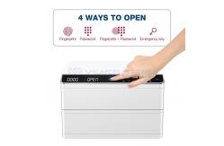 China Auto Open Double Layers Secure Jewelry Box 34kg With Dual Alarm supplier